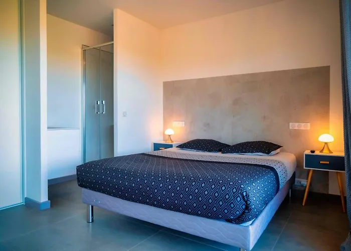 Solaneos Propose Magnifique T4 Neuf Sur Le Port Avec Piscine Chauffee *